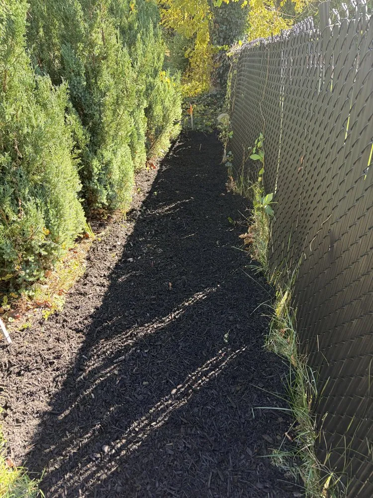 Trusted landscaping services in Providence, RI - Kasht Property Managment