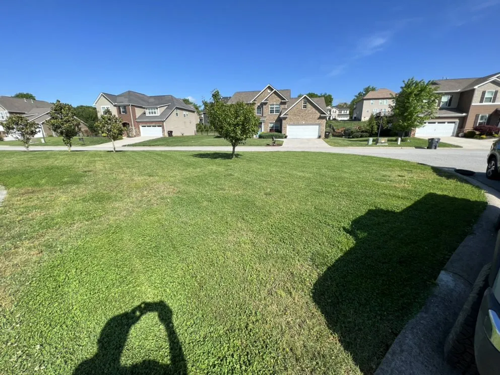 Custom residential landscaping for beautiful yards across Knoxville, TN - Kashzen Lawn Care Services