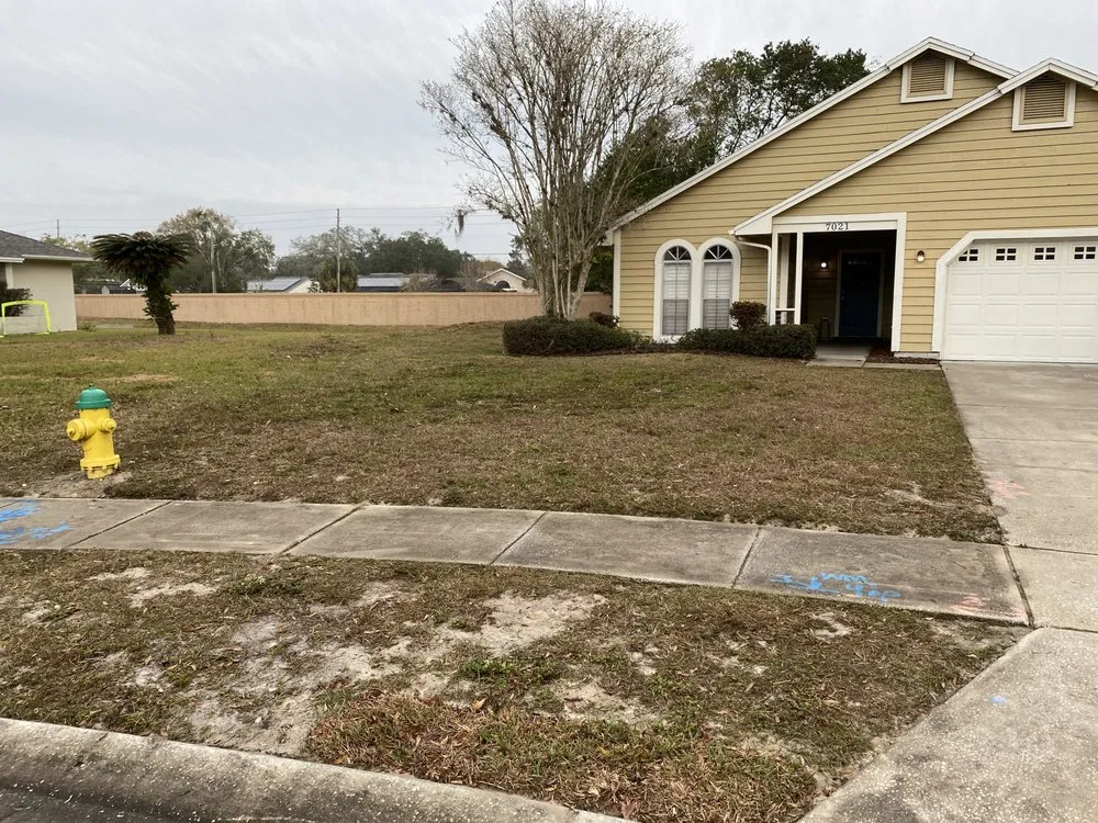 Affordable landscaping services in Union Park, FL - Kasi Pressure Washer