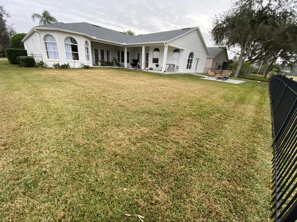 Professional lawn care service experts serving Union Park, FL - Kasi Pressure Washer