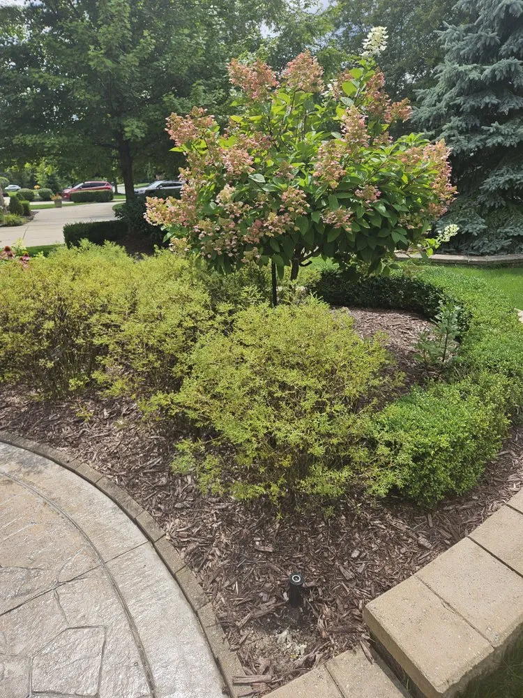 Expert landscape design in Rochester, MI - Kasimir Landscaping