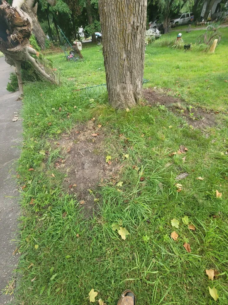 Expert landscape installation experts serving Rochester, MI - Kasimir Landscaping