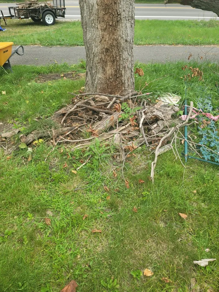 Trusted yard cleanup service near you in Rochester, MI by Kasimir Landscaping