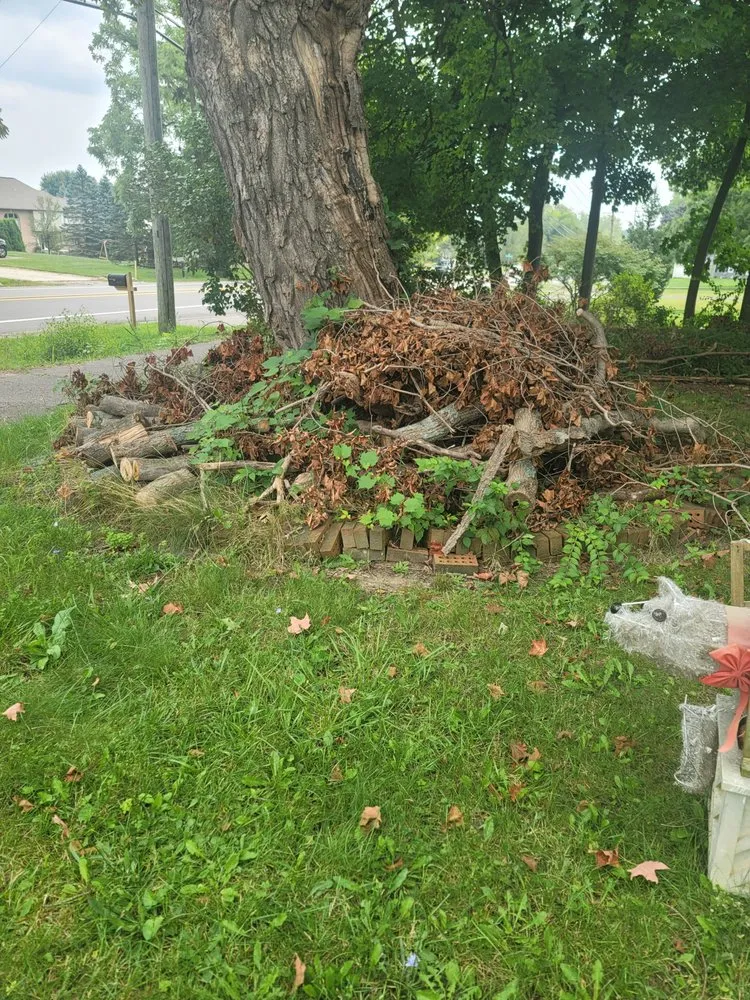 Top-rated landscaping services in Rochester, MI by Kasimir Landscaping