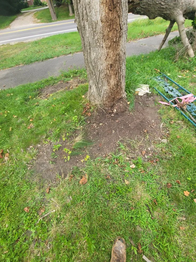 Custom yard maintenance for year-round maintenance in Rochester, MI by Kasimir Landscaping