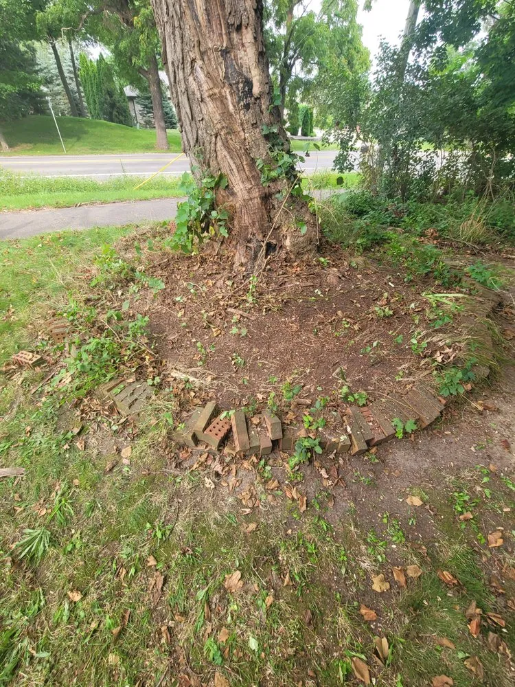 Expert landscaping services in Rochester, MI - Kasimir Landscaping