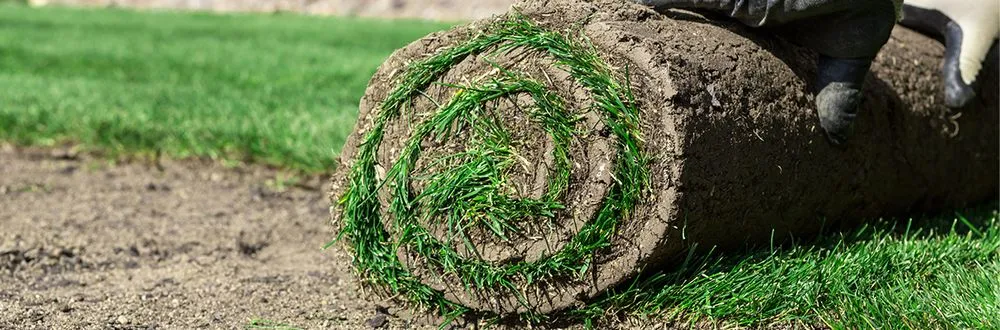 Top-rated landscape design in Hicksville, NY - Kasique Landscaping