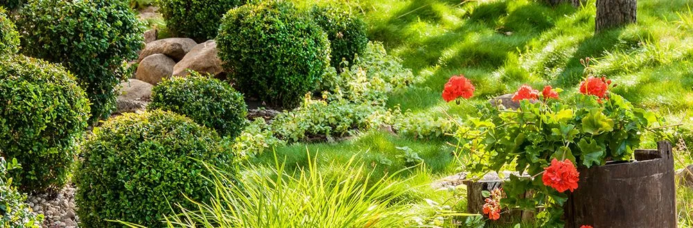 Expert yard maintenance in Hicksville, NY - Kasique Landscaping