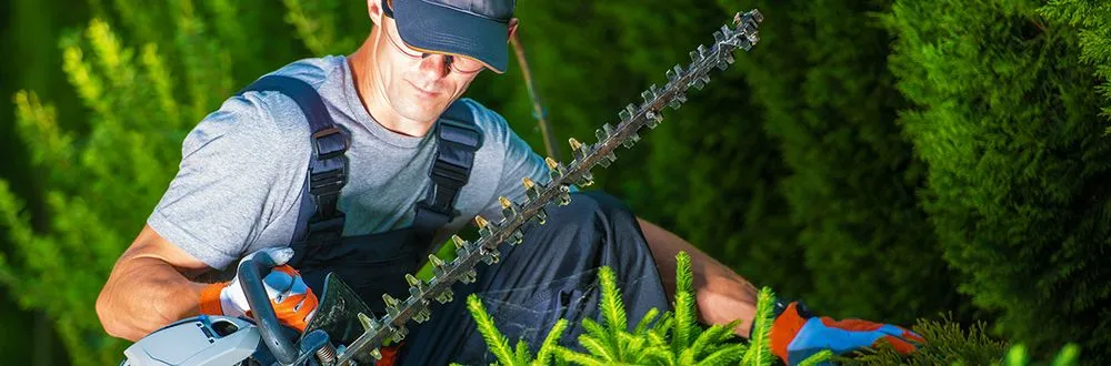 Local landscape design for outdoor upgrades in Hicksville, NY by Kasique Landscaping