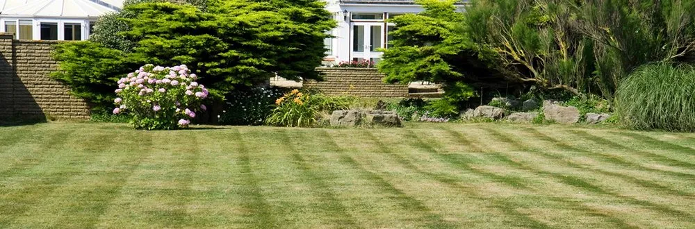 Reliable lawn care service in Hicksville, NY by Kasique Landscaping