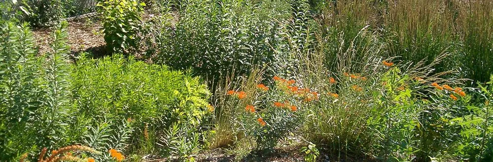 Expert landscape installation near you across Hicksville, NY - Kasique Landscaping