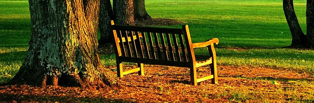 Expert landscaping services in Hicksville, NY - Kasique Landscaping