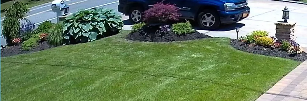 Reliable landscaping services in Hicksville, NY - Kasique Landscaping