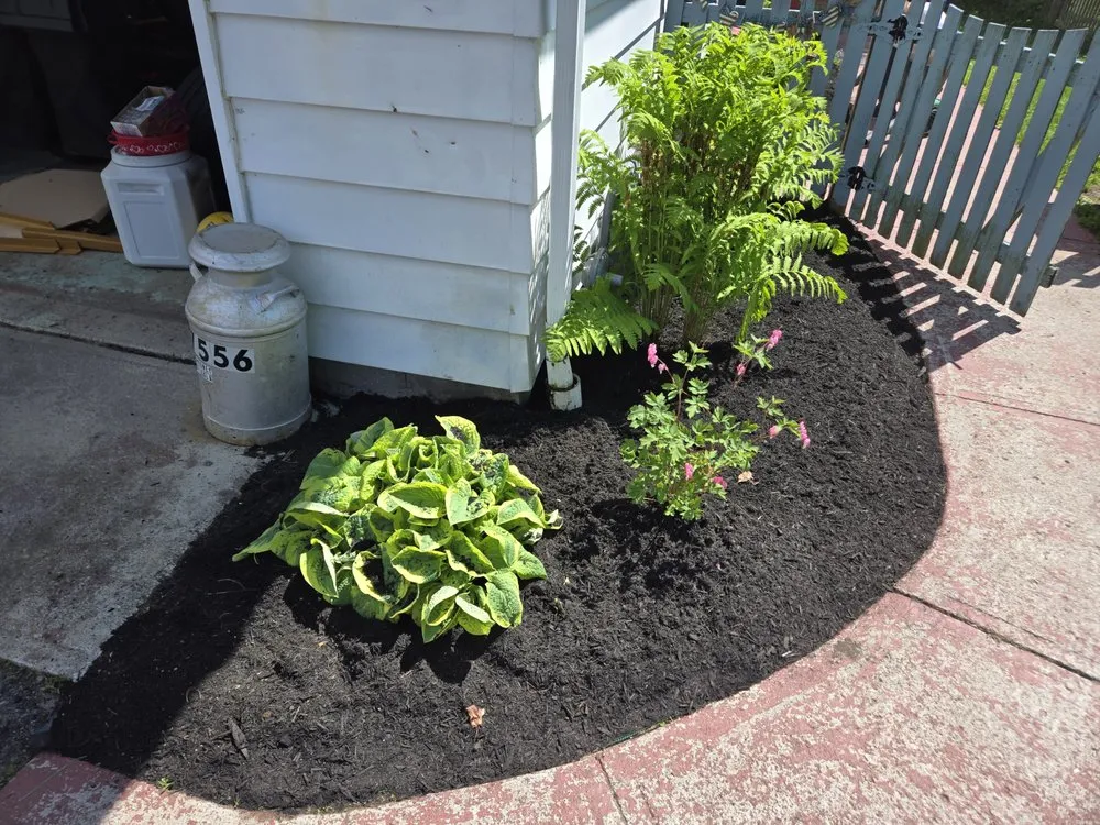 Expert lawn mowing service for year-round maintenance in Adams, NY by Kat Landscaping