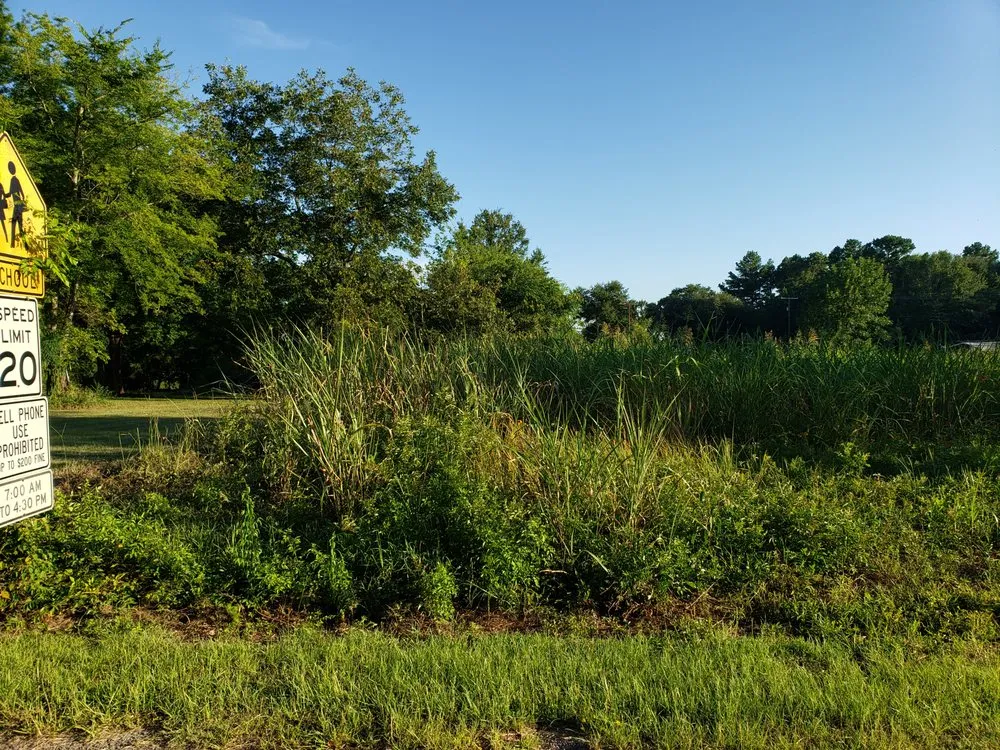Top-rated residential landscaping for beautiful yards across Big Sandy, TX - Kat Weed Pulling Service
