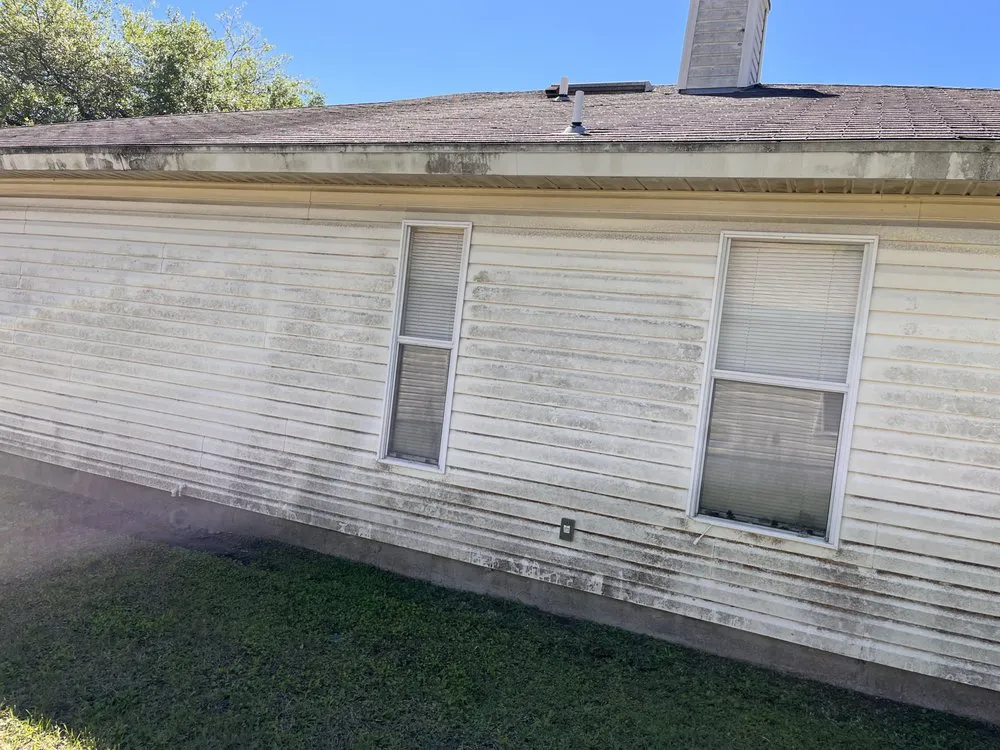 Trusted yard cleanup service for year-round maintenance across Jacksonville, FL - Katalus Property Services