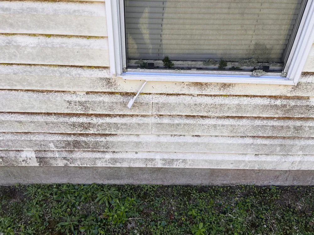 Top-rated yard maintenance for homes across Jacksonville, FL - Katalus Property Services