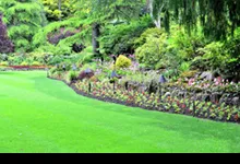 Local residential landscaping for beautiful yards across Fort Washington, PA - Kate's Corner