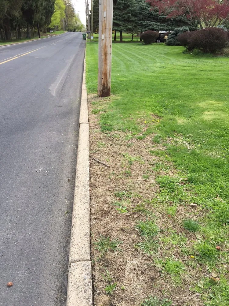 Local landscape design in Fort Washington, PA - Kate's Corner