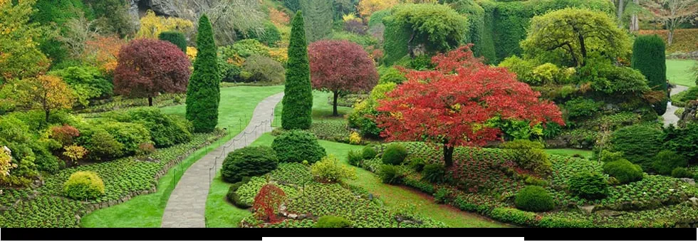 Top-rated landscaping services experts serving Fort Washington, PA - Kate's Corner