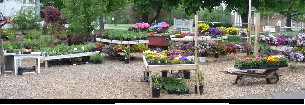 Reliable landscape design for outdoor upgrades across Fort Washington, PA - Kate's Corner