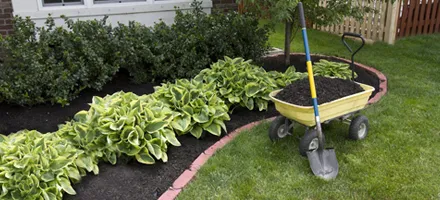 Expert residential landscaping experts serving Fort Washington, PA - Kate's Corner