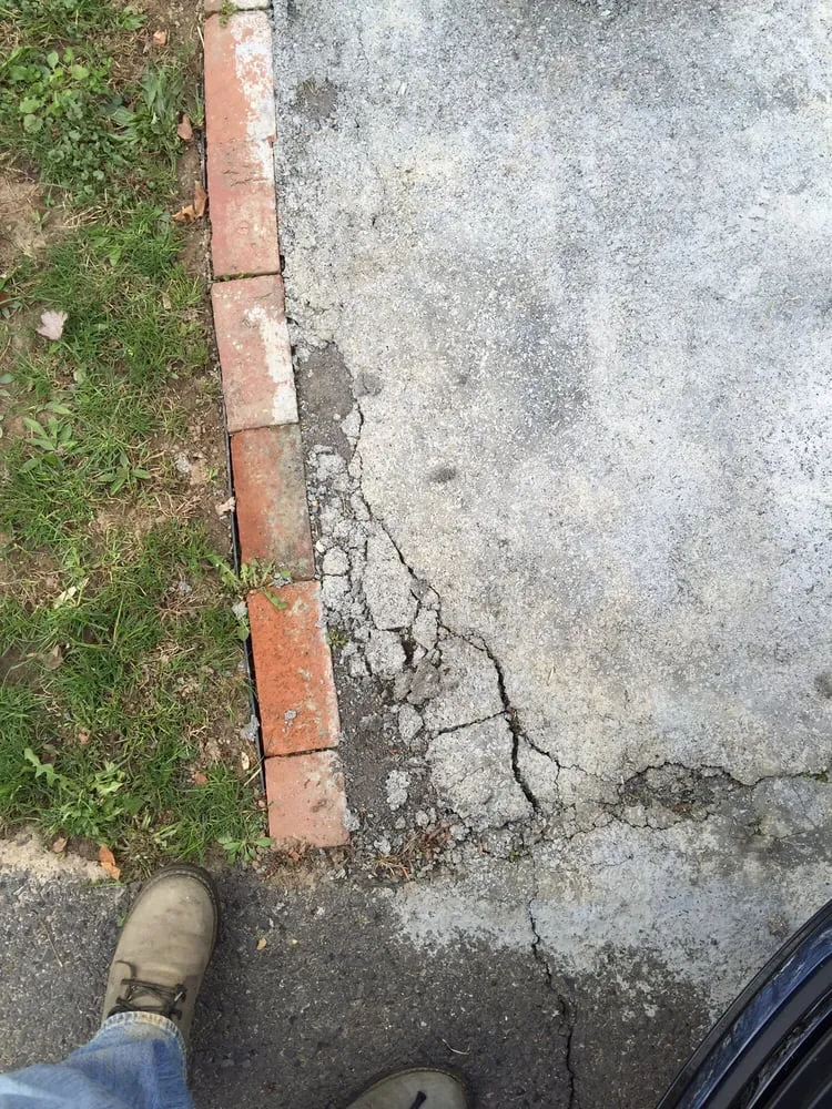 Local yard cleanup service in Fort Washington, PA by Kate's Corner