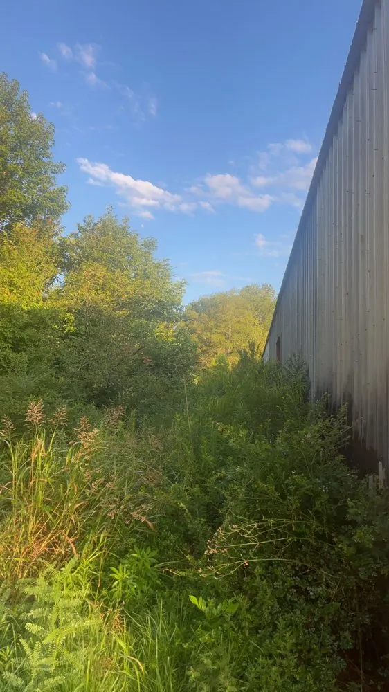 Top-rated landscape design experts serving Longview, TX - Kates Herbicide