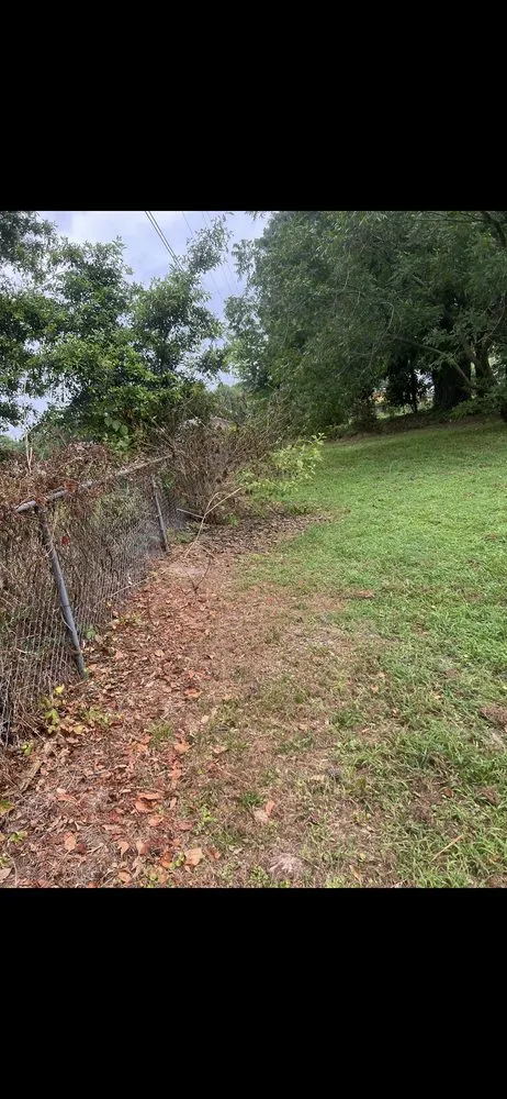 Affordable outdoor landscaping for outdoor upgrades across Longview, TX - Kates Herbicide