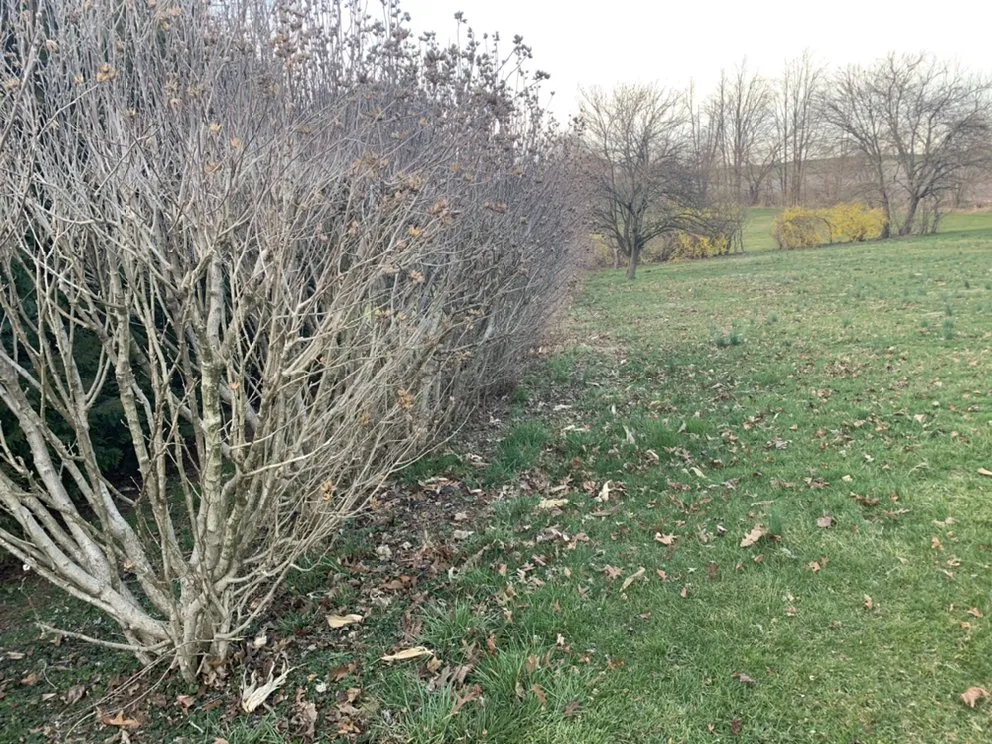 Custom lawn mowing service experts serving Dillsburg, PA - Kathleen Mateer