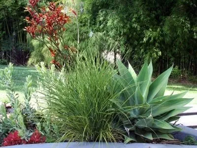 Expert residential landscaping in Santa Cruz, CA by Kathleen Shaeffer Landscape Design