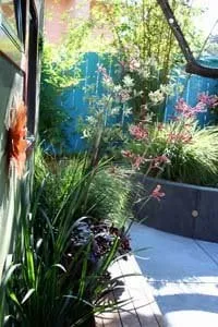 Custom landscape installation in Santa Cruz, CA - Kathleen Shaeffer Landscape Design
