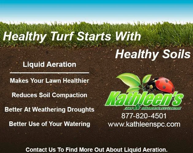 Top-rated lawn care service near you in Augusta, GA by Kathleen's Lawn & Shrub Care