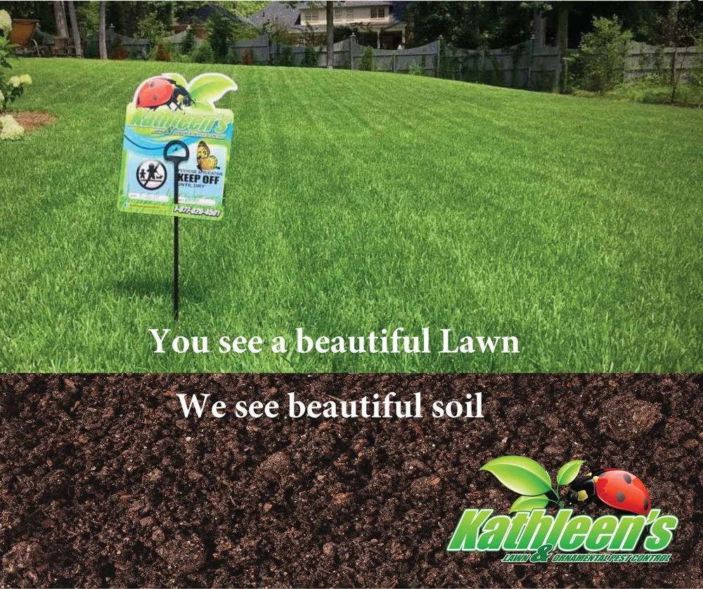 Reliable lawn care service for outdoor upgrades across Augusta, GA - Kathleen's Lawn & Shrub Care