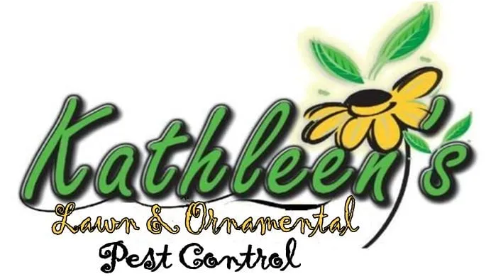 Professional landscape design for outdoor upgrades across Augusta, GA - Kathleen's Lawn & Shrub Care