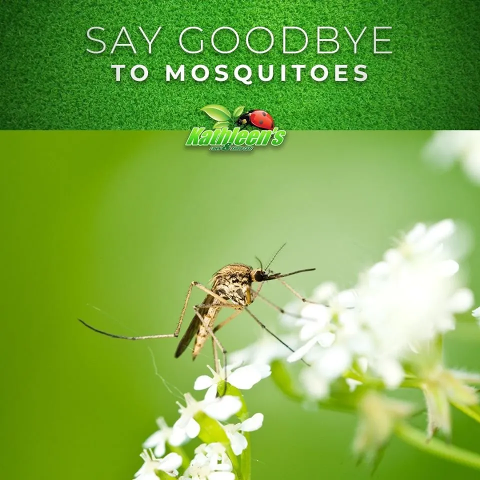 Affordable yard maintenance for beautiful yards across Augusta, GA - Kathleen's Lawn & Shrub Care