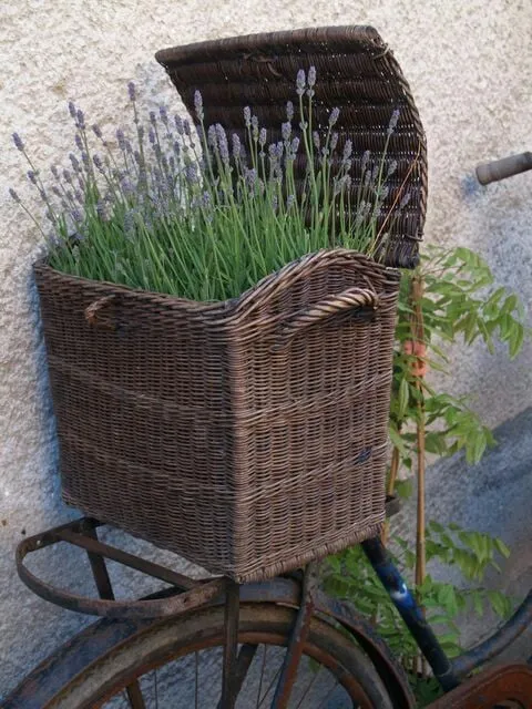 Professional garden landscaping in Wildwood, MO by Kathy Selz Landscaping Maintenance