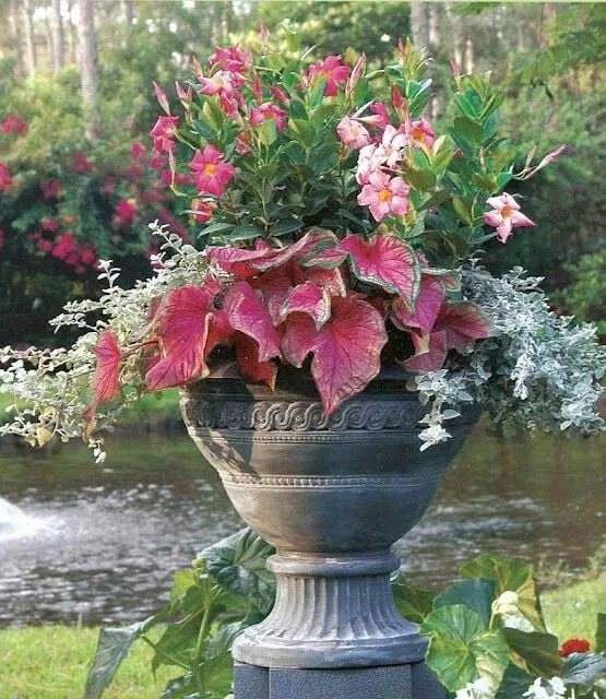 Trusted lawn mowing service near you in Wildwood, MO by Kathy Selz Landscaping Maintenance