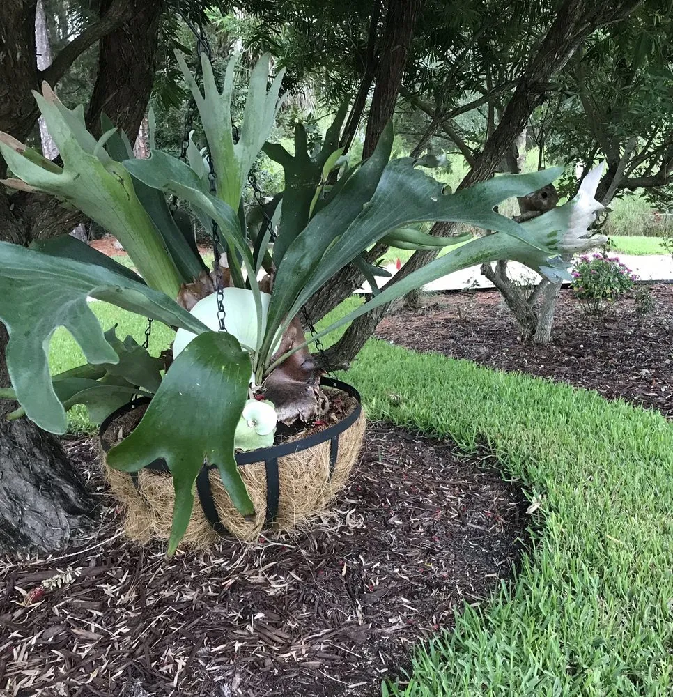 Local lawn mowing service in Ponte Vedra Beach, FL - Kathy's Creative Garden & Nursery