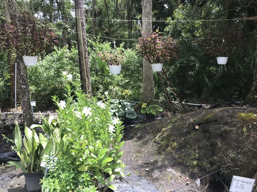 Custom garden landscaping in Ponte Vedra Beach, FL by Kathy's Creative Garden & Nursery