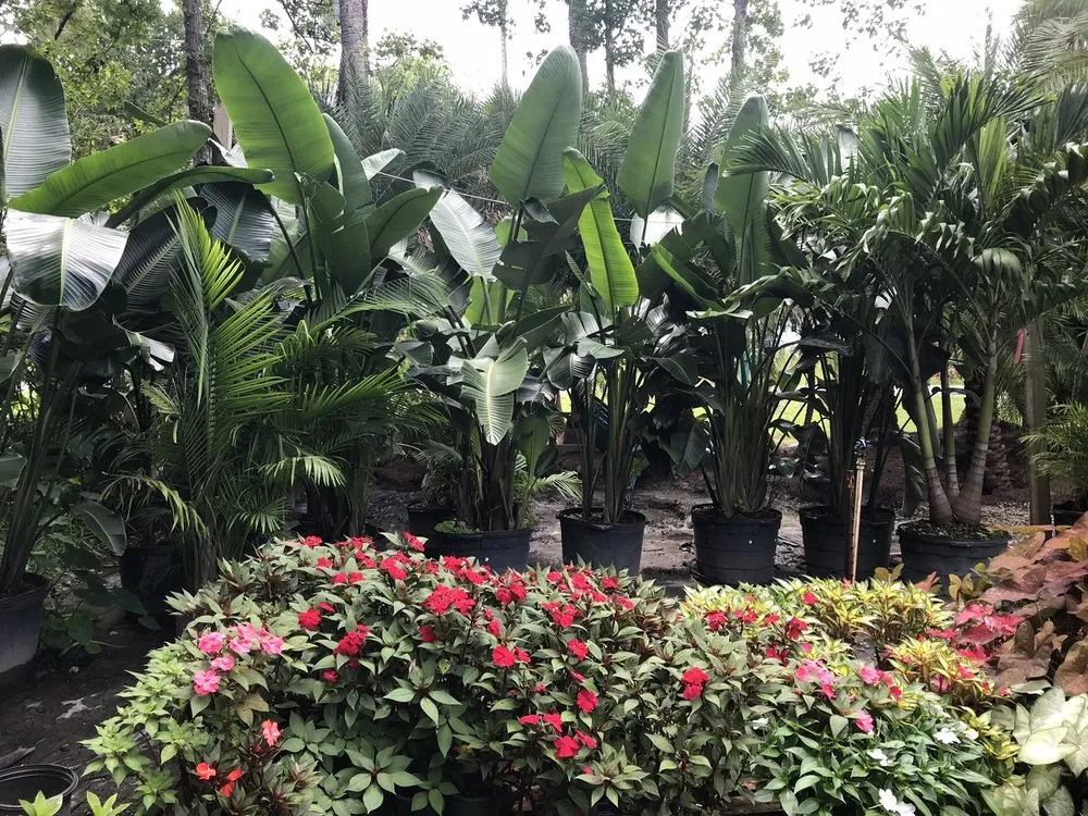 Local residential landscaping for residential properties in Ponte Vedra Beach, FL by Kathy's Creative Garden & Nursery