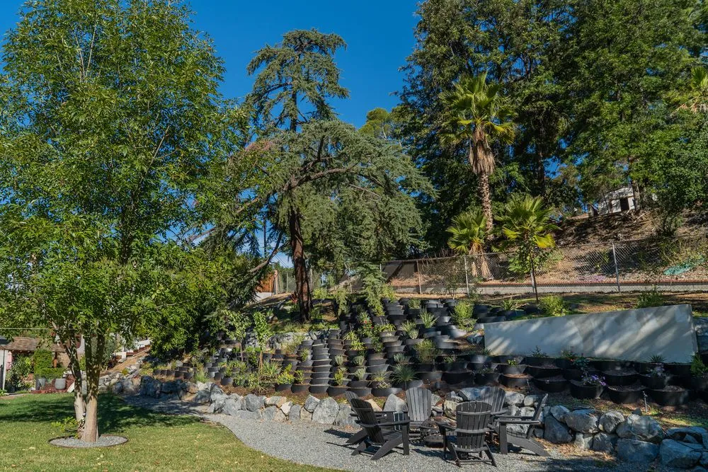 Top-rated landscaping services experts serving Newhall, CA - Kathy’s Landscaping