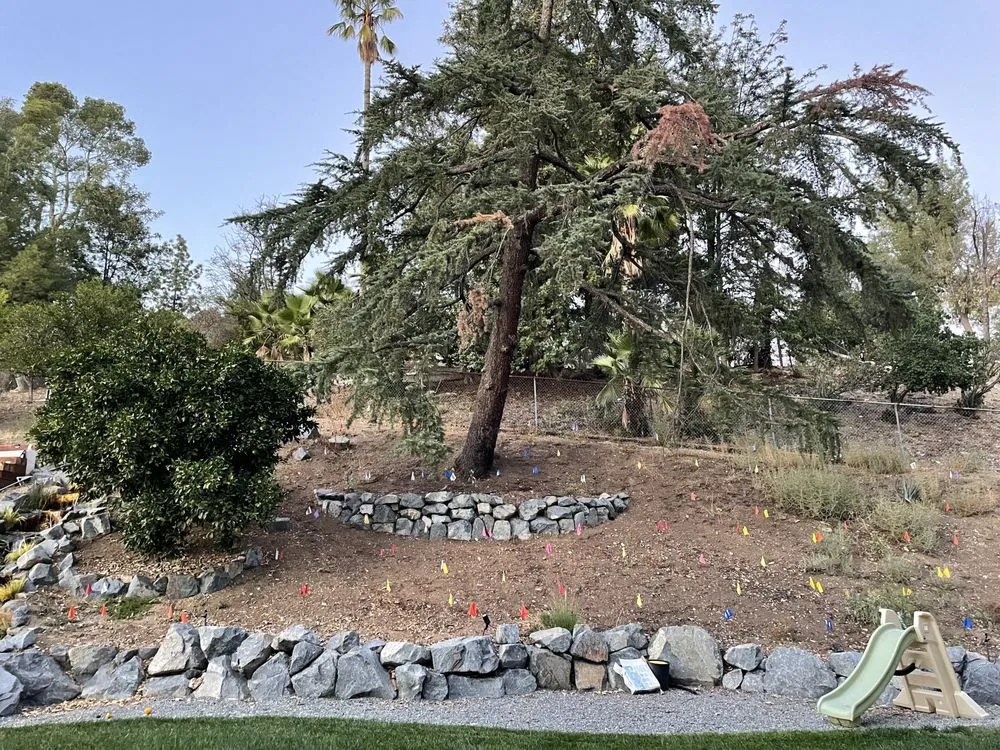 Custom outdoor landscaping for homes in Newhall, CA by Kathy’s Landscaping