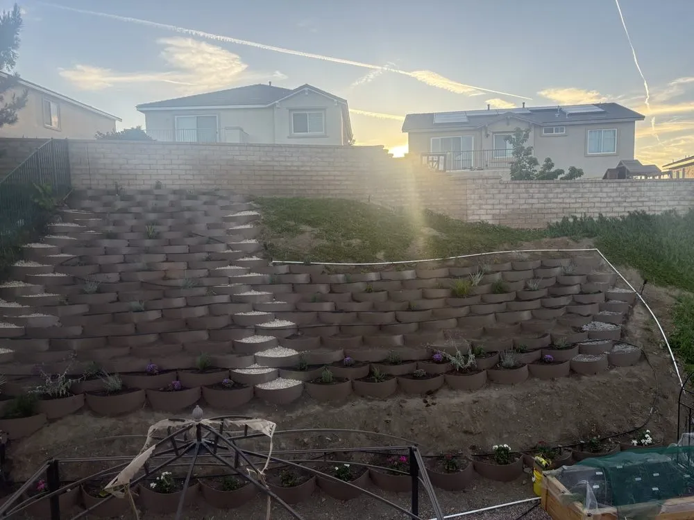 Local lawn care service in Newhall, CA by Kathy’s Landscaping