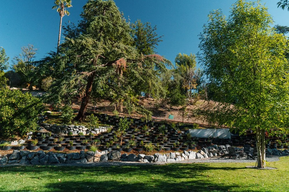 Reliable landscaping services for residential properties across Newhall, CA - Kathy’s Landscaping