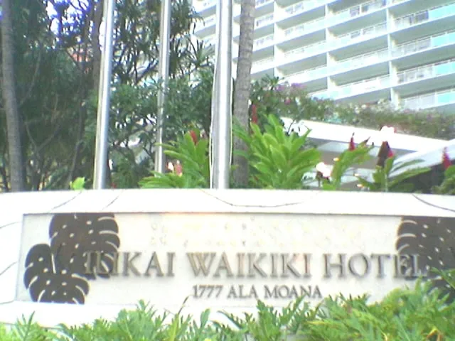 Local yard cleanup service for residential properties in Newhall, CA by Kathy’s Landscaping