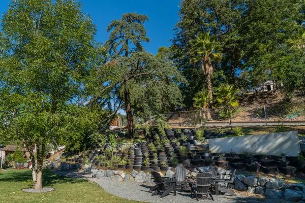 Kathy’s Landscaping Logo