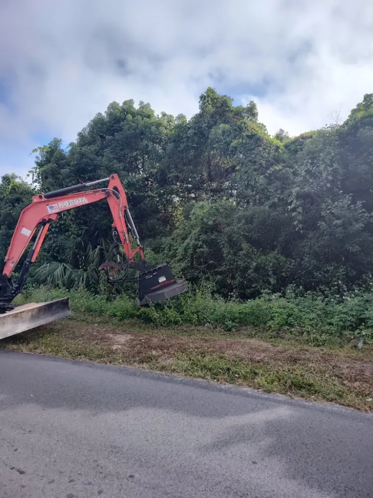 Professional yard maintenance with custom design across Panama City, FL - Katiebugs Lawn Care