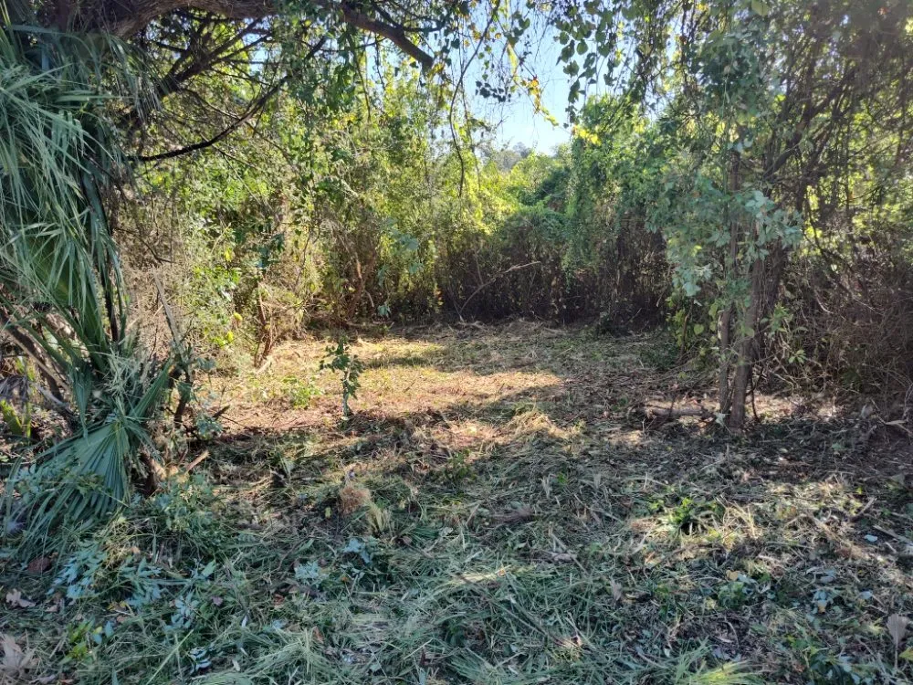 Top-rated lawn mowing service for residential properties in Panama City, FL by Katiebugs Lawn Care