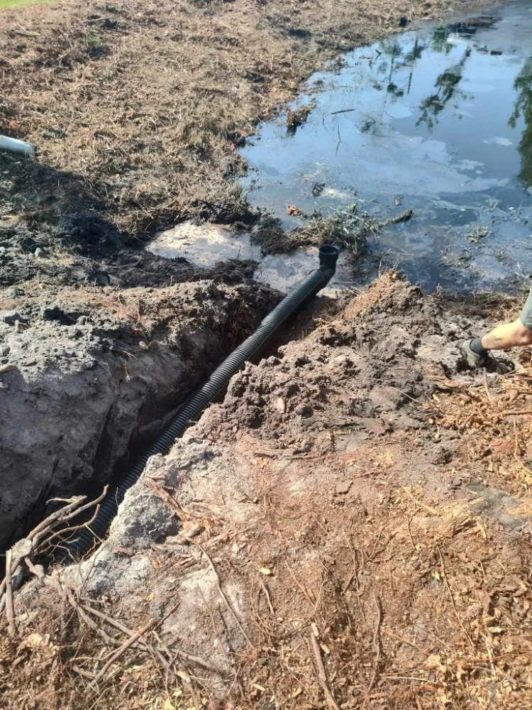 Affordable residential landscaping for homes across Panama City, FL - Katiebugs Lawn Care